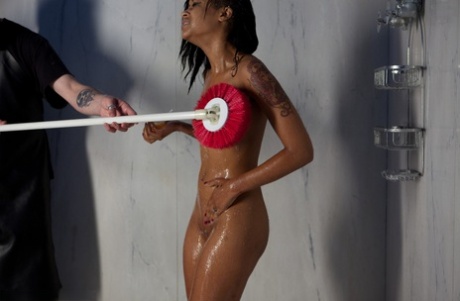 Skin Diamond gwiazda sztuki galerie